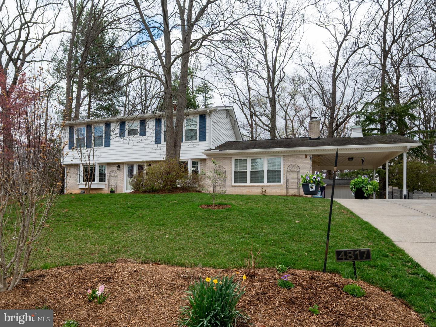 4817 Dodson Drive, Annandale