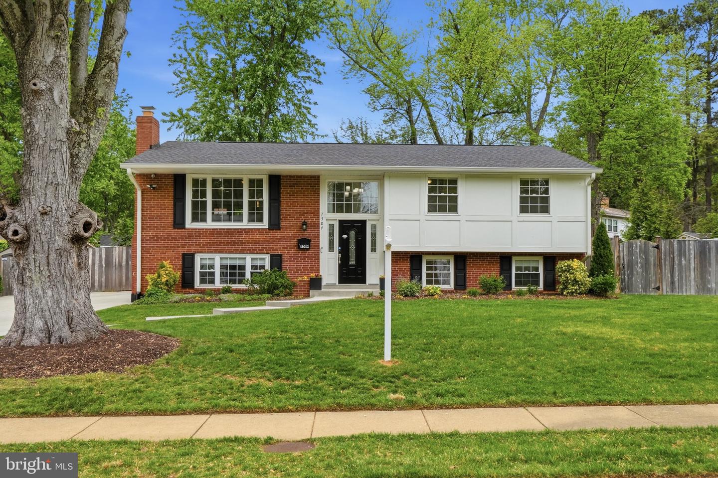 7504 Dolce Drive, Annandale