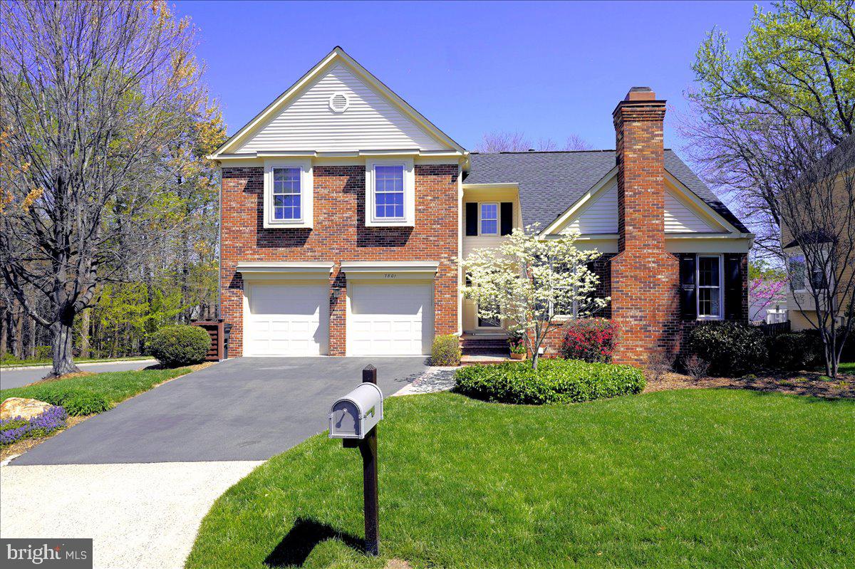 7801 Blue Jasmine Court, Springfield
