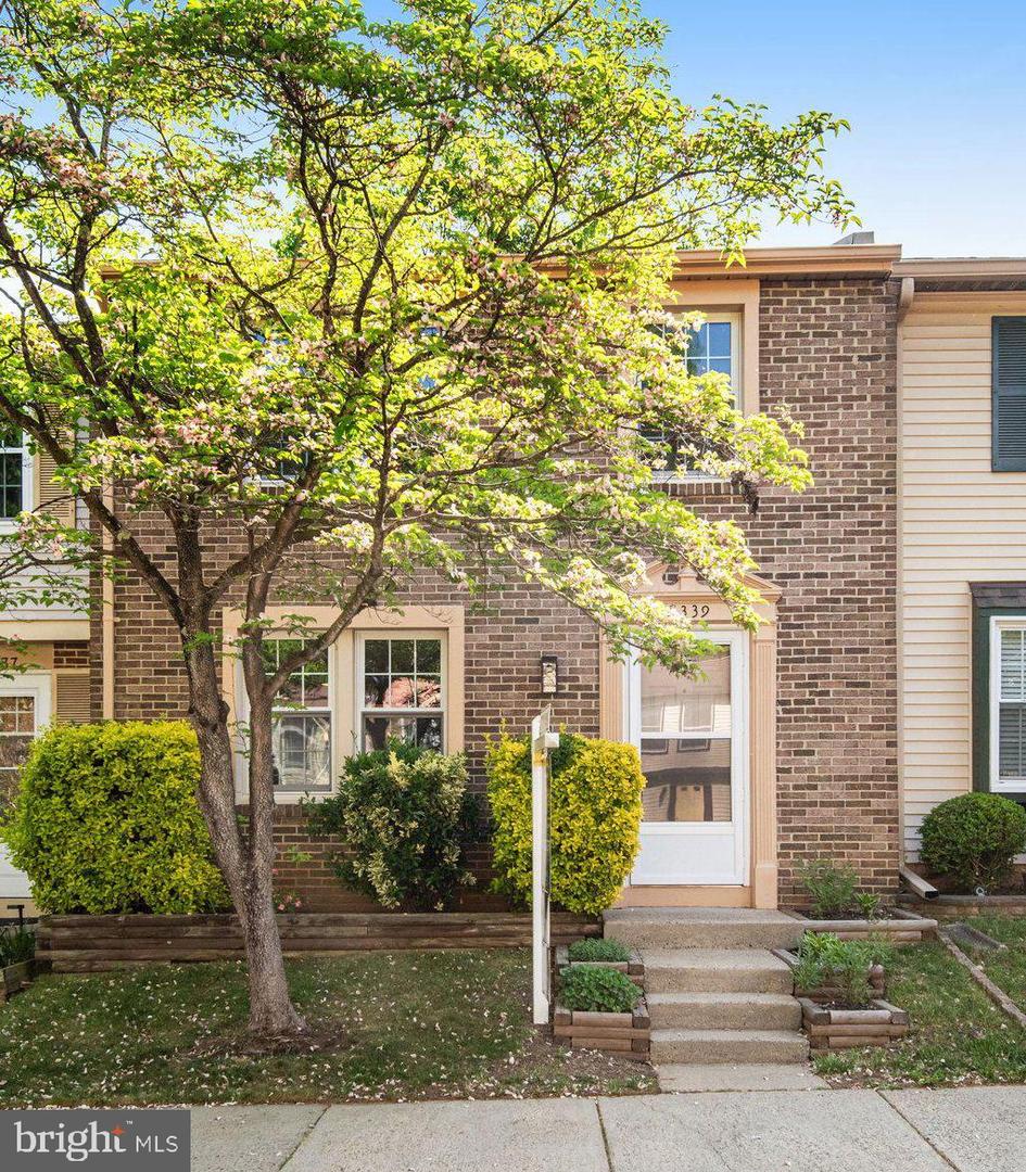 8339 Bark Tree Court, Springfield