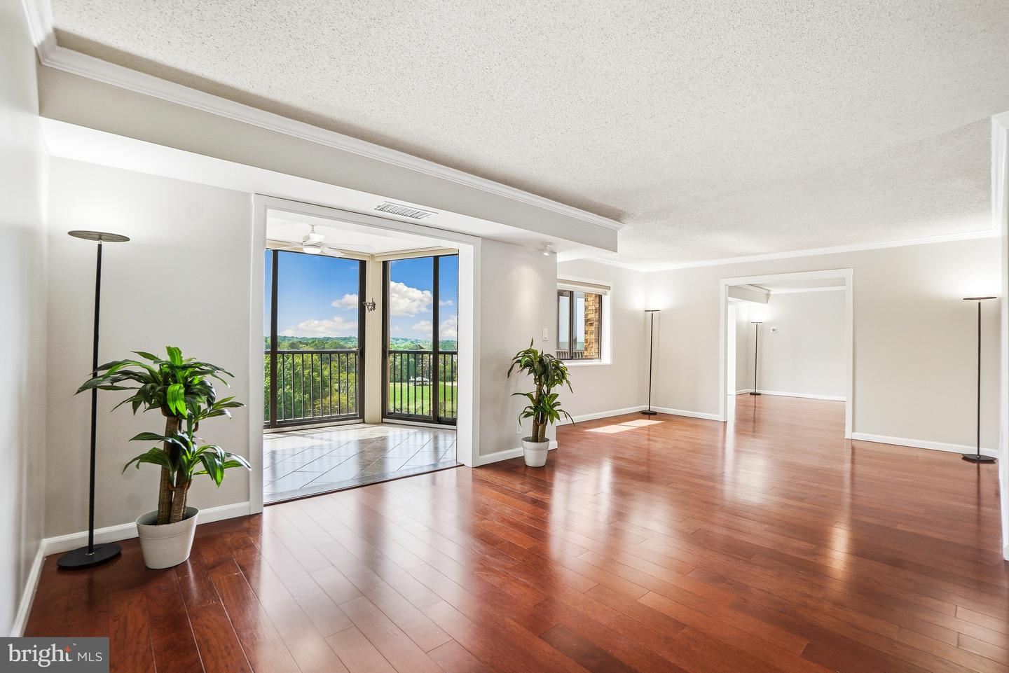 5901 Mount Eagle Drive #1005