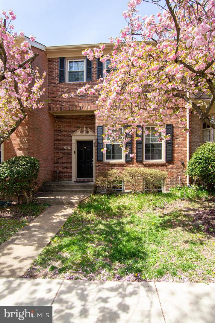 8230 La Faye Court, Alexandria