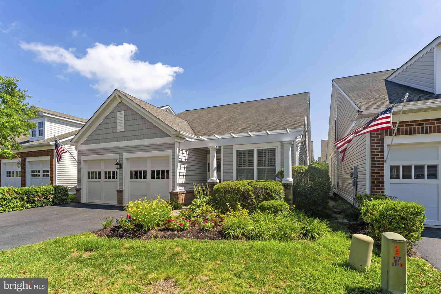 8404 Mountain Larkspur