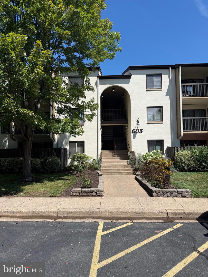 605 Center Street #t4