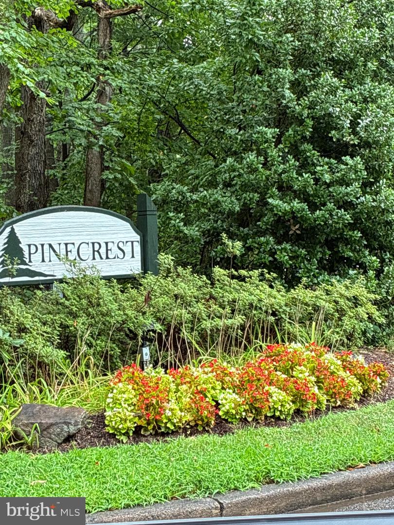 2326 Antiqua Court