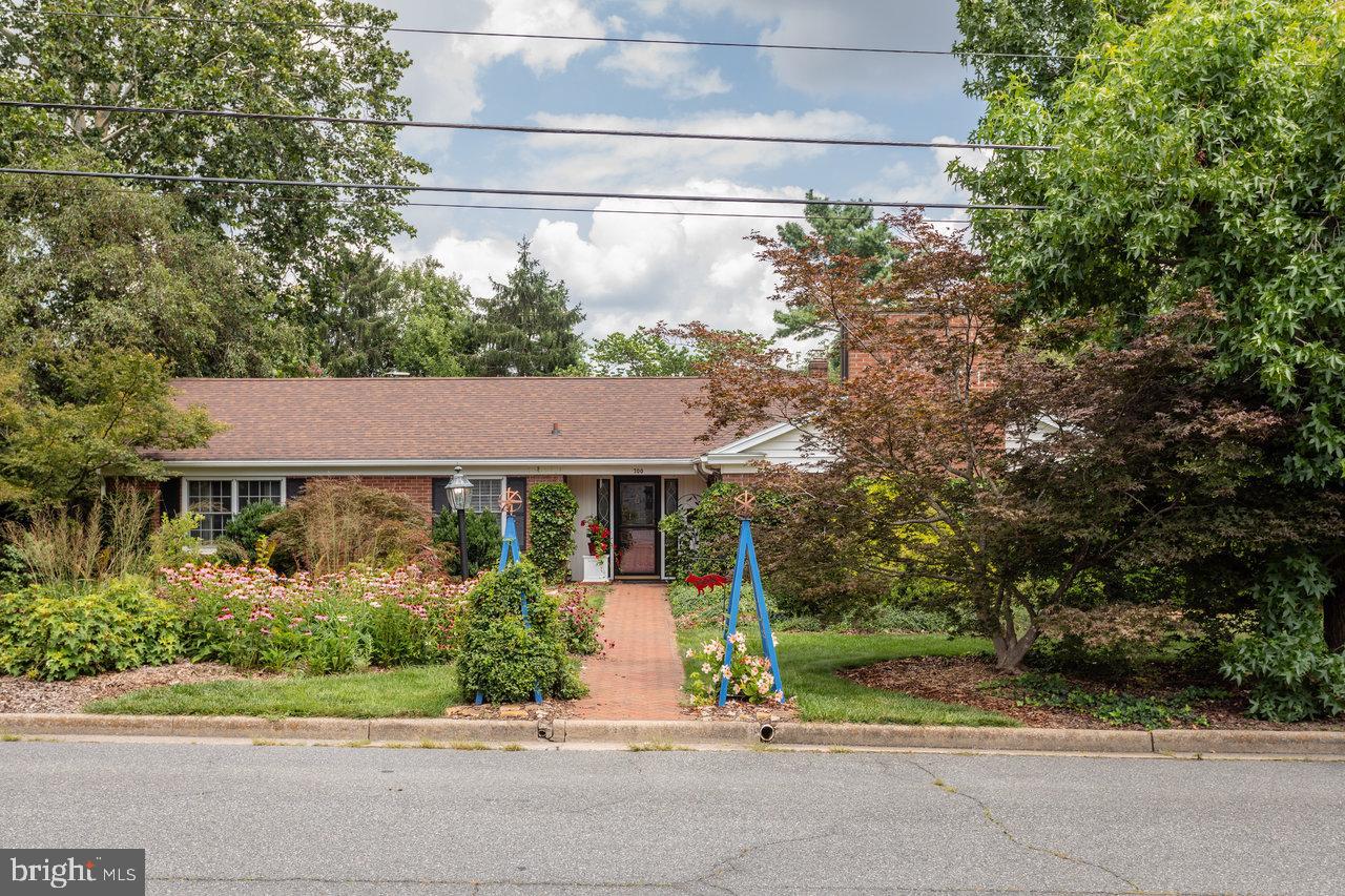 700 New York Avenue, Harrisonburg