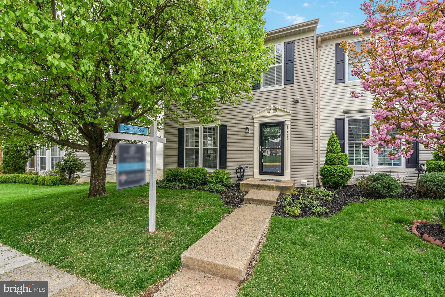 43311 Chokeberry Square, Ashburn