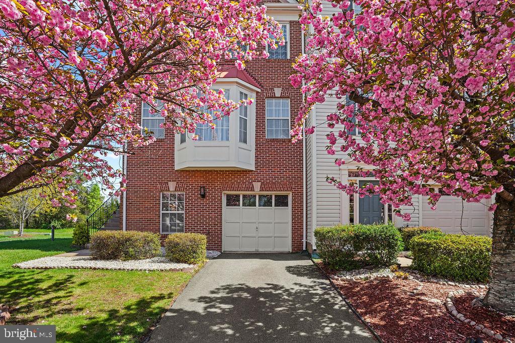 21614 Monmouth Terrace, Ashburn