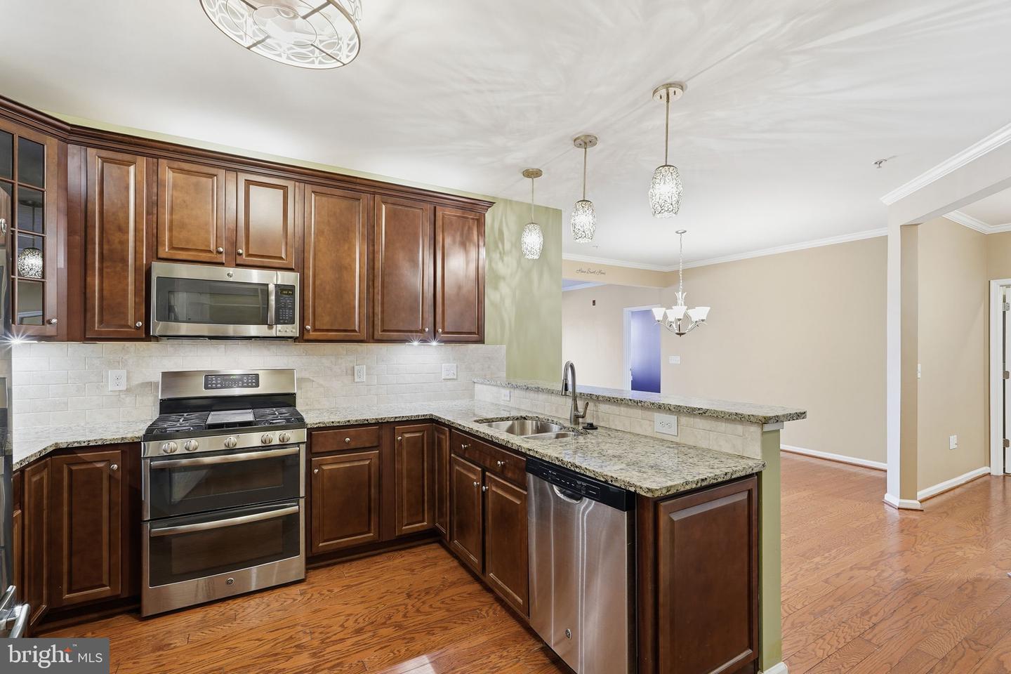 24637 Woolly Mammoth Terrace #205