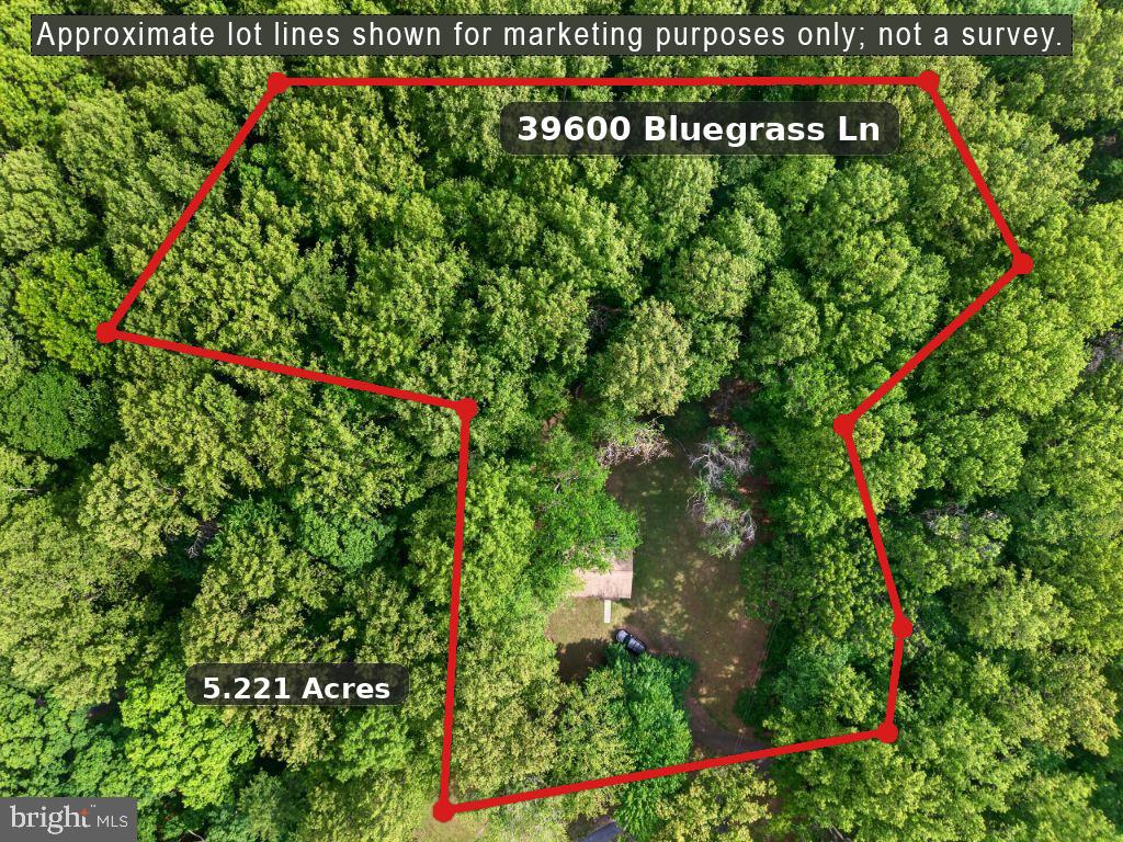 39600 Bluegrass Lane, Aldie