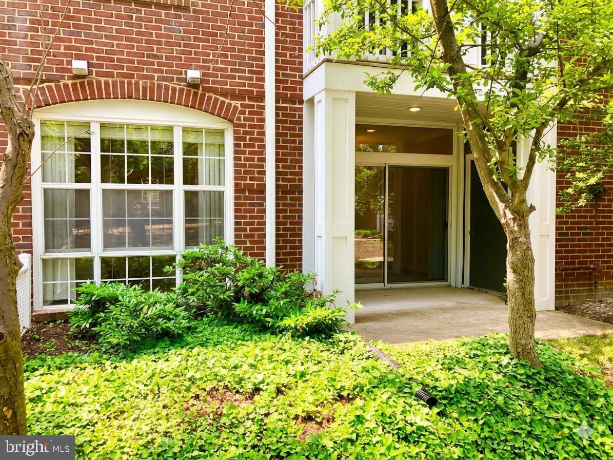 20290 Beechwood Terrace #103