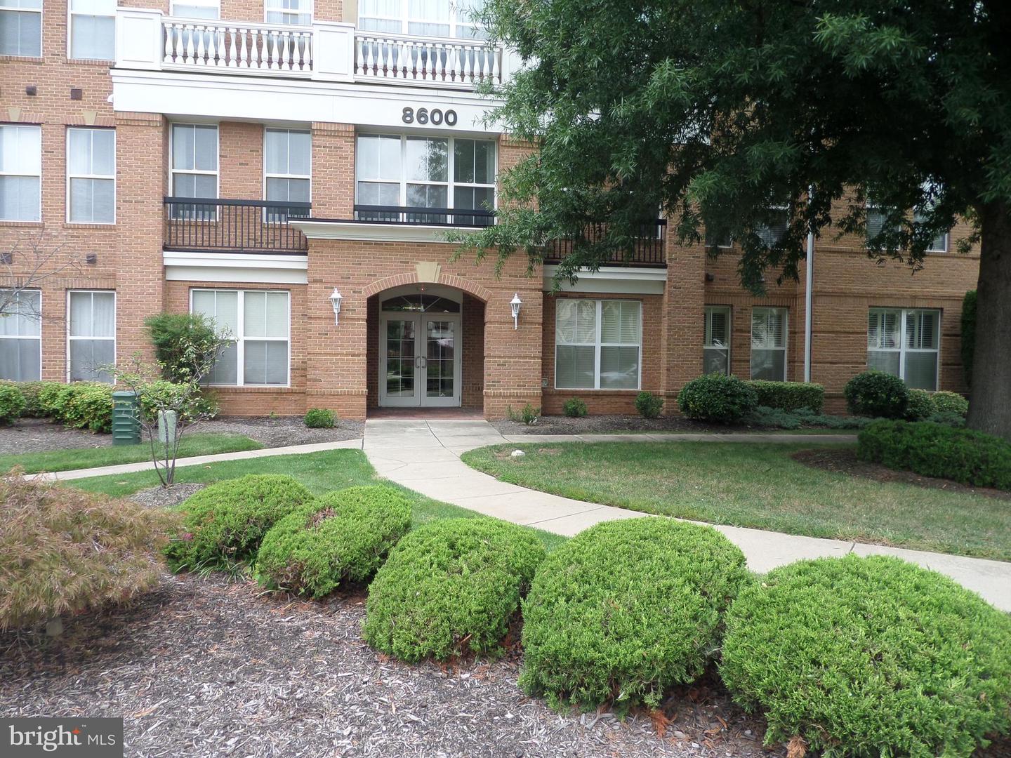 8600 Liberty Trail #303, Manassas