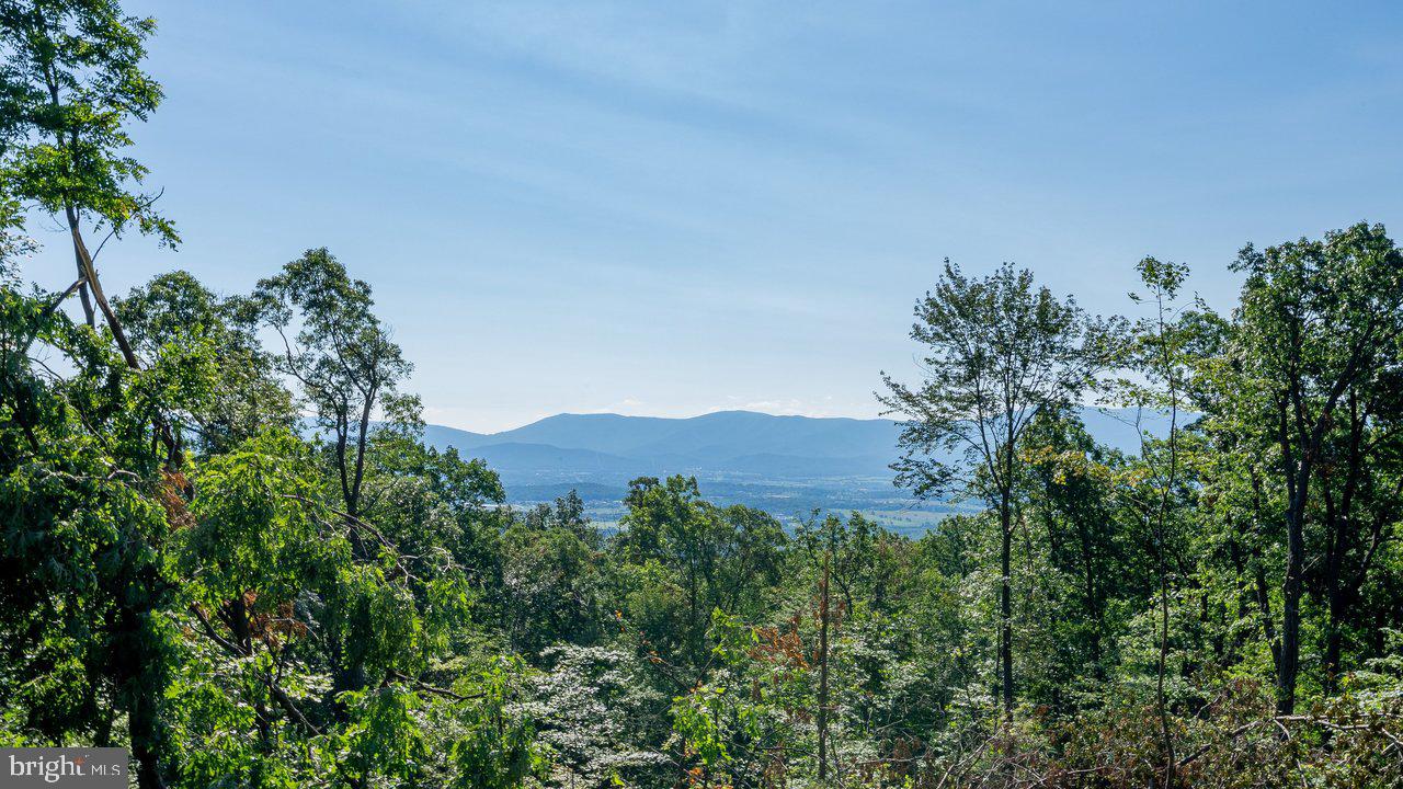 531 Forest Drive Extension