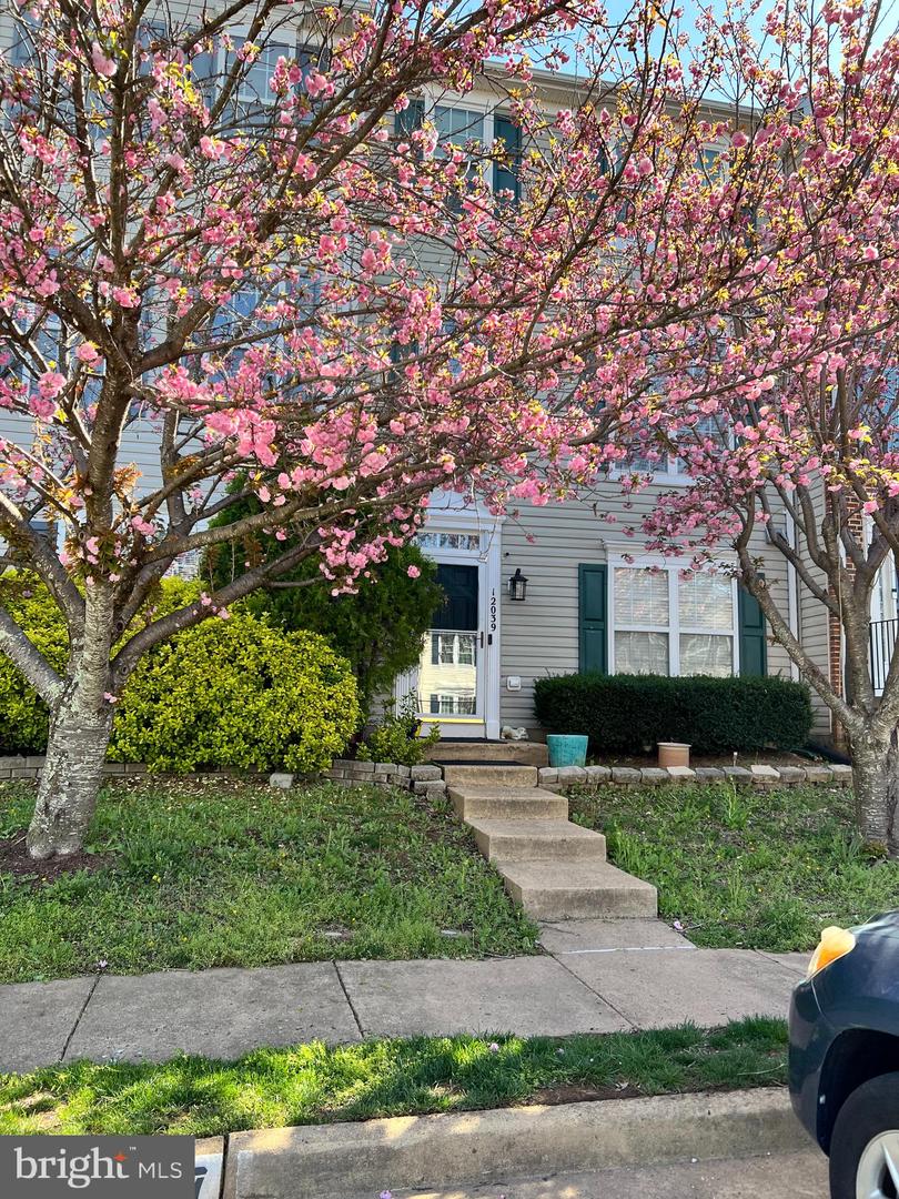 12039 Elliots Oak Place, Bristow