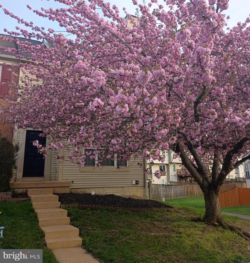3429 Tuckahoe Court, Dumfries