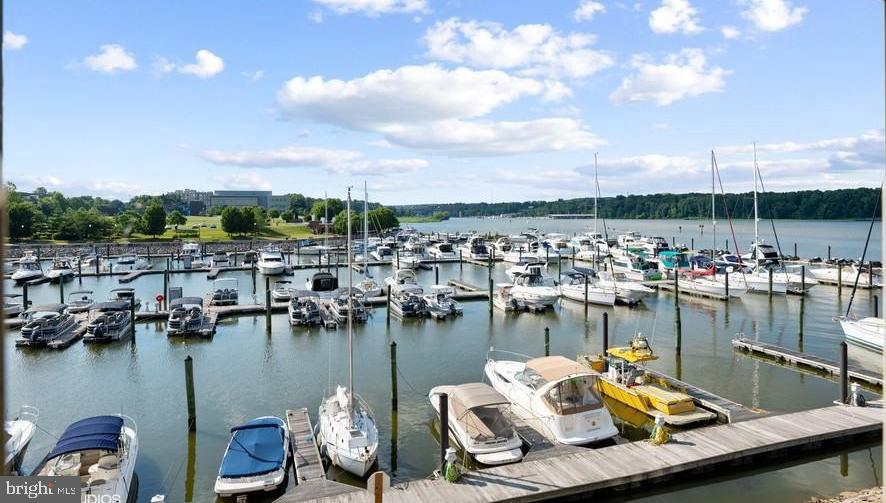 500 Belmont Bay Drive #205