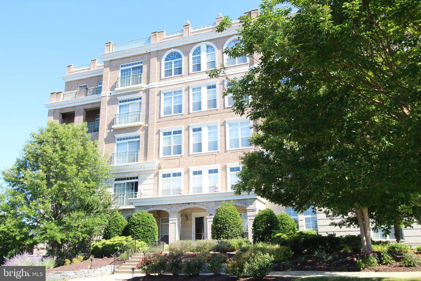 830 Belmont Bay Drive #303