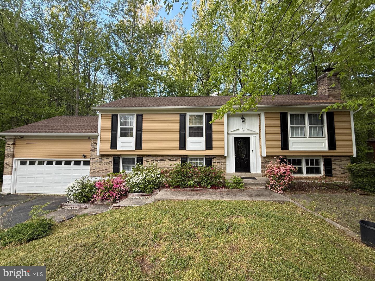 7778 Beadfield Court