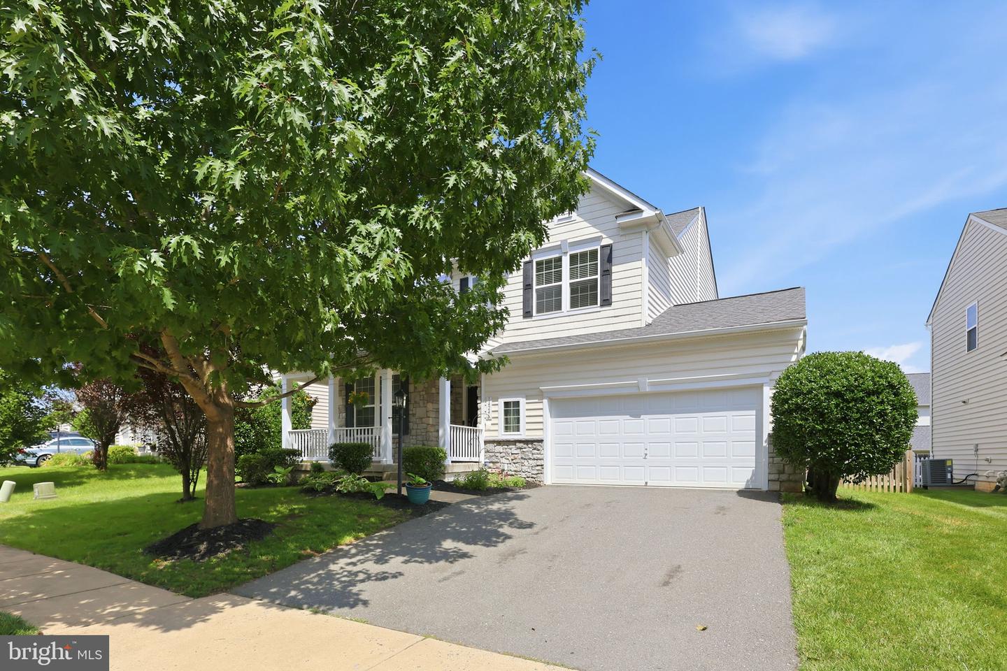 14246 Ladderbacked Drive