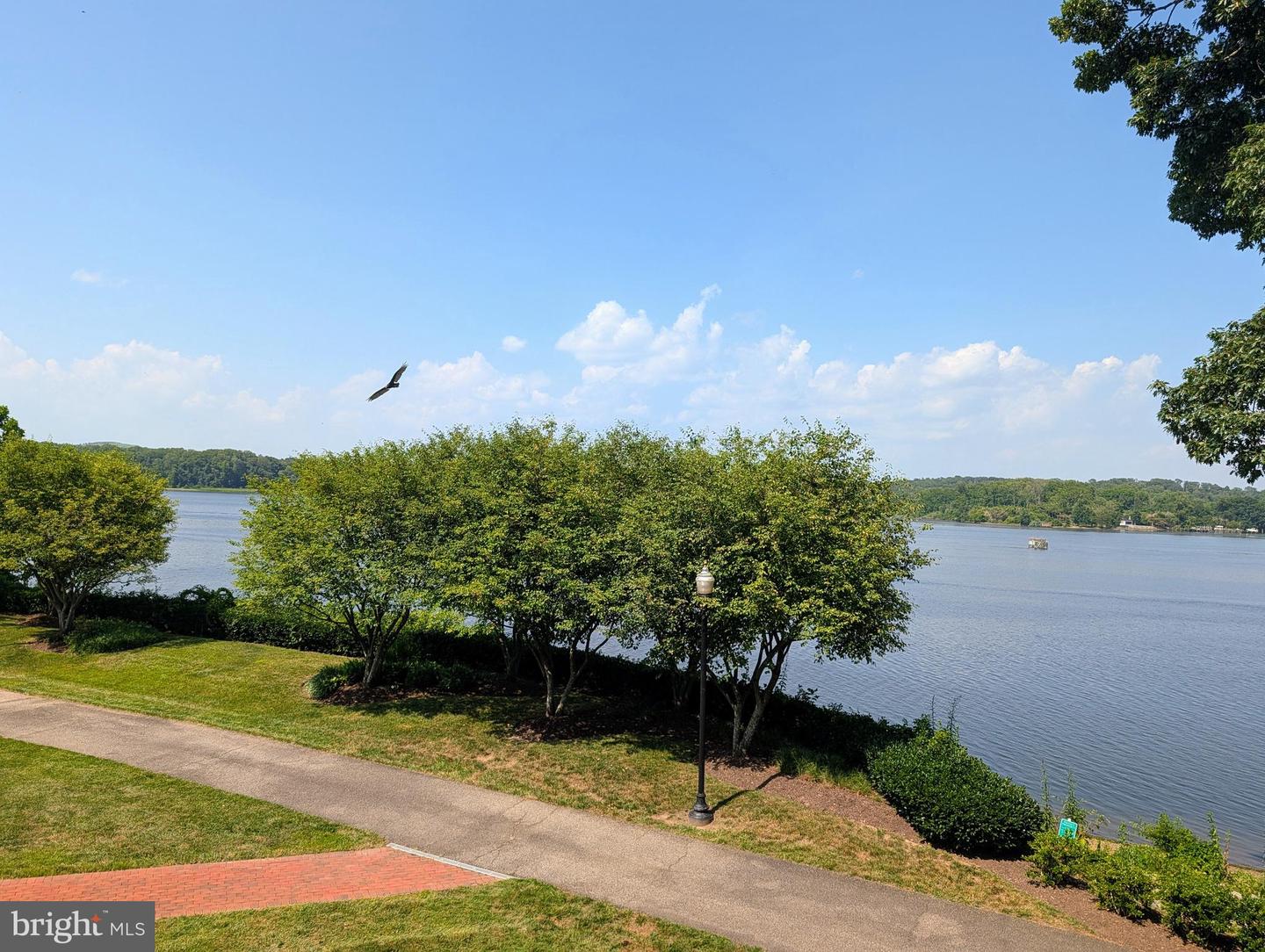 440 Belmont Bay #215