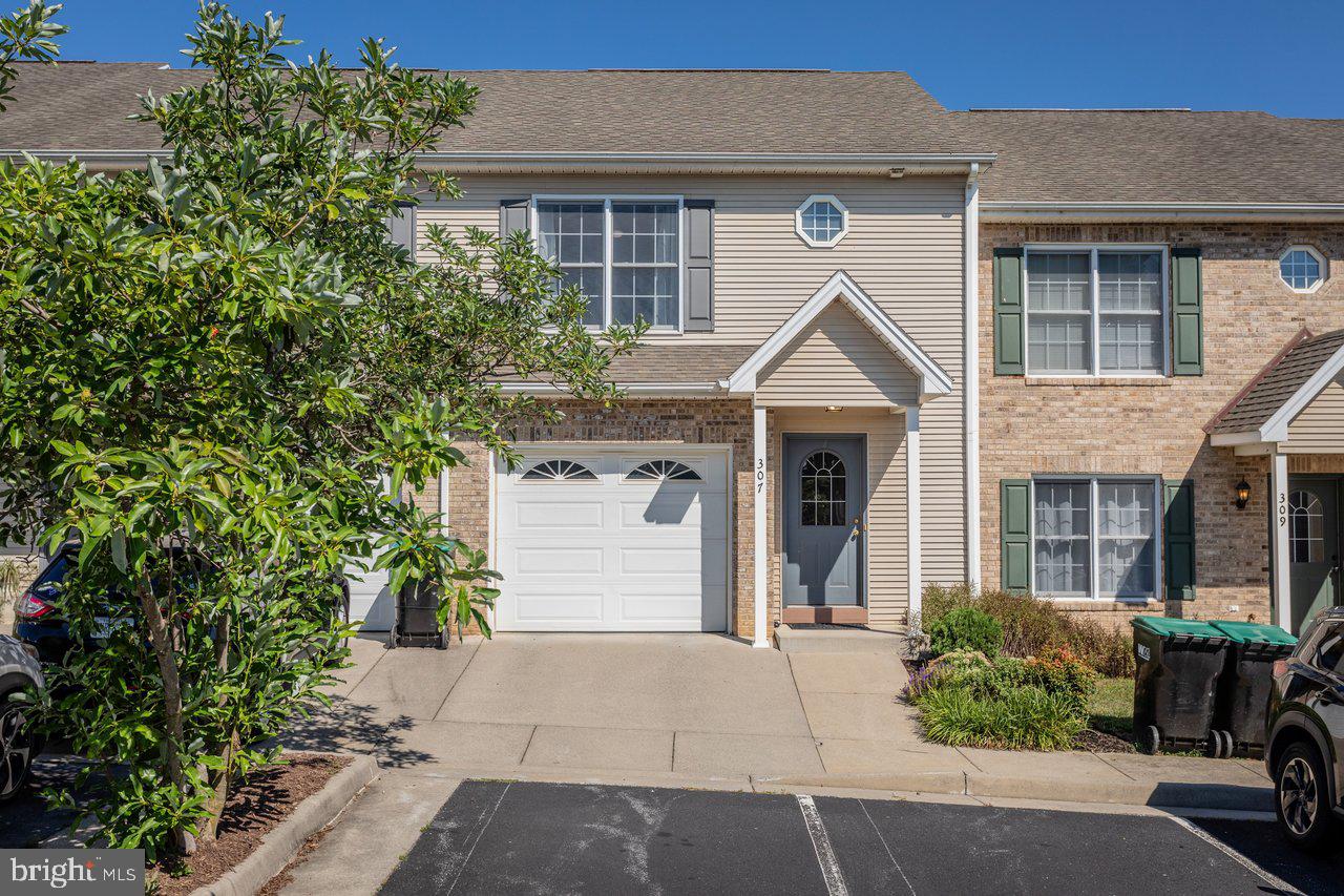 307 Joyce Drive