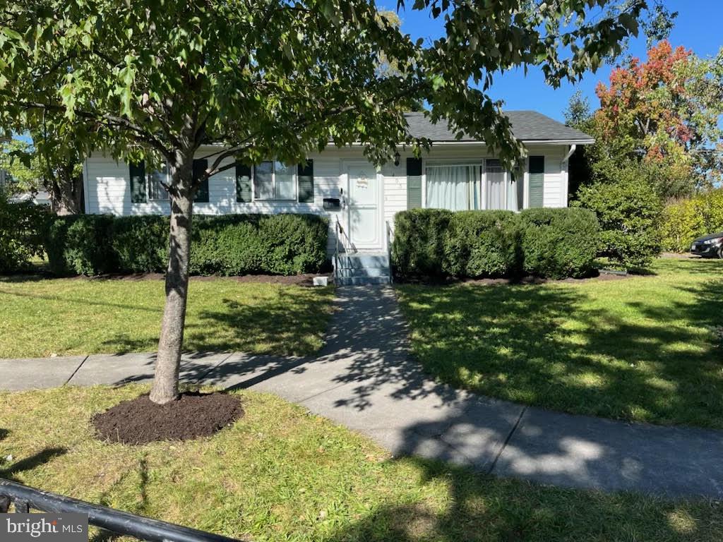 405 Shenandoah Avenue
