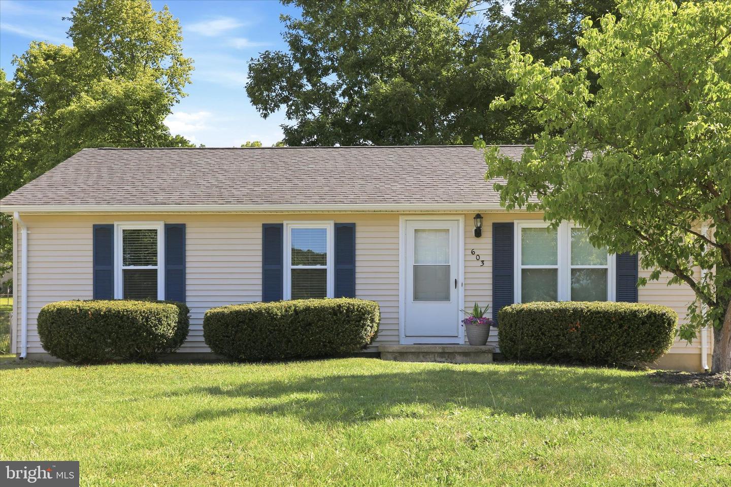 603 W Duck Street, Front Royal