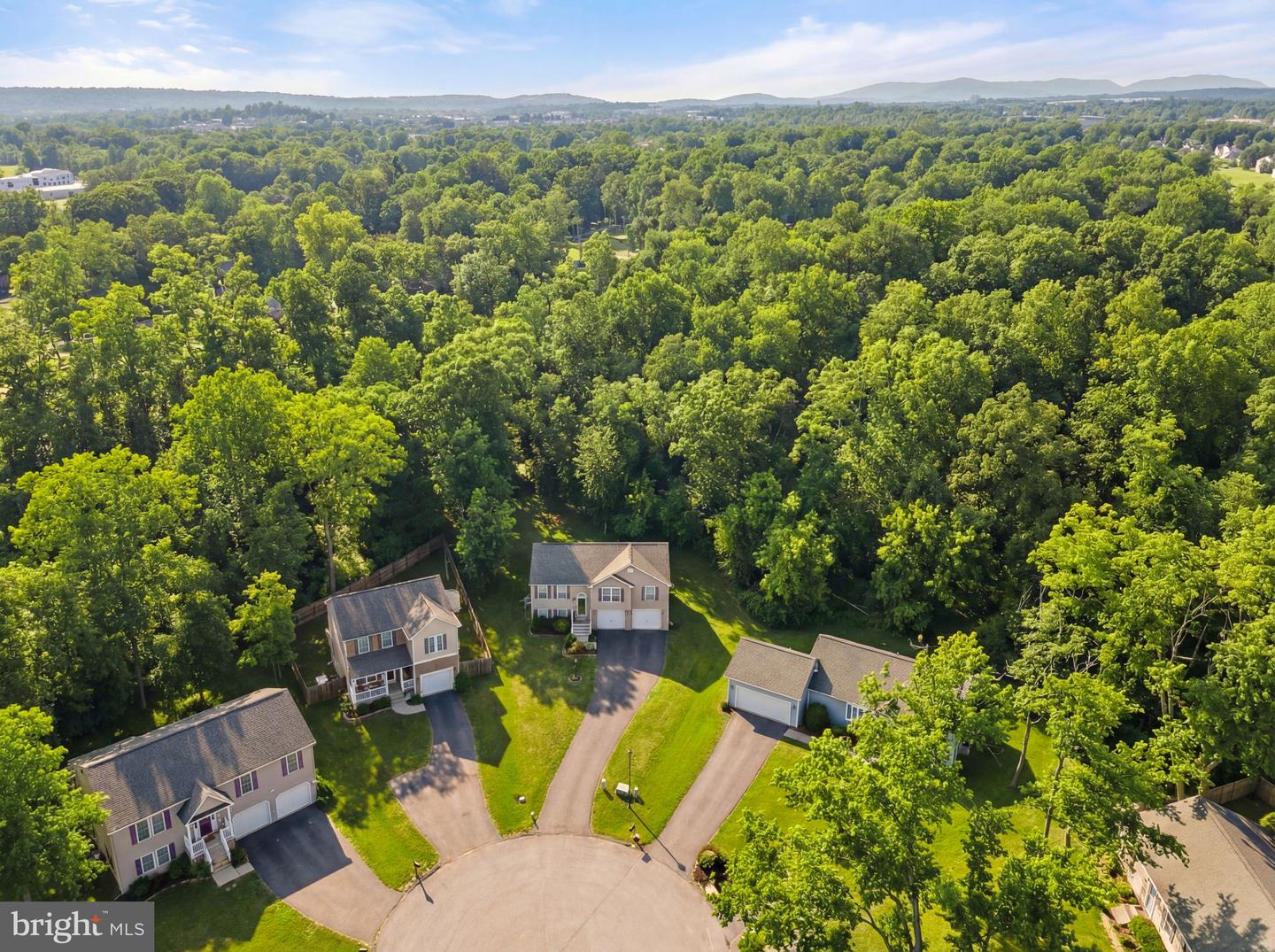 111 Hosta, Martinsburg