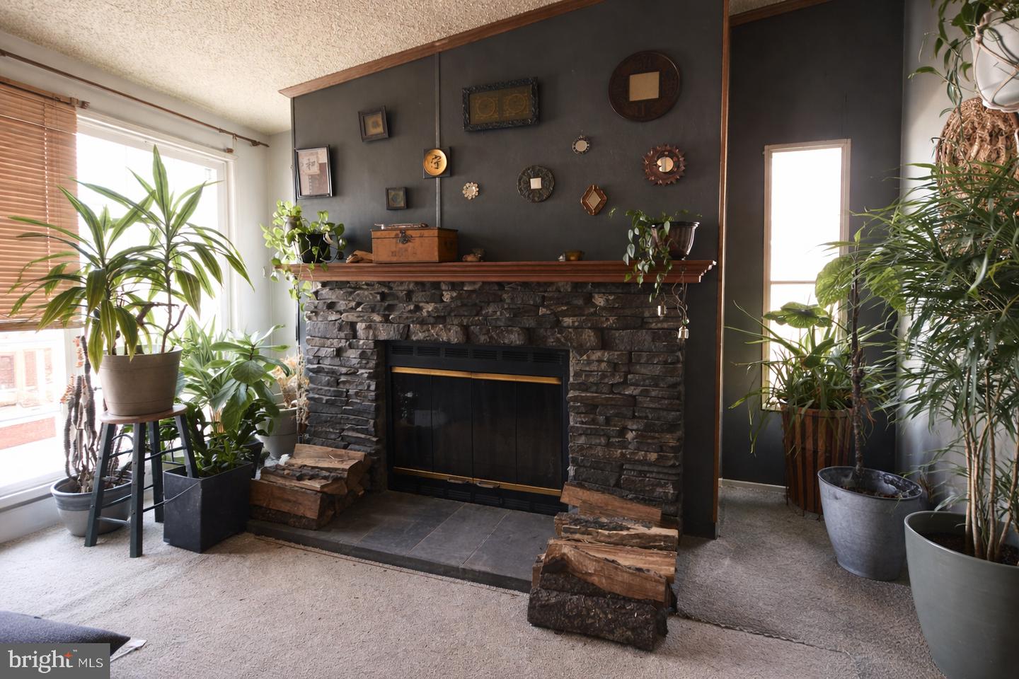 339 Valentine Dr