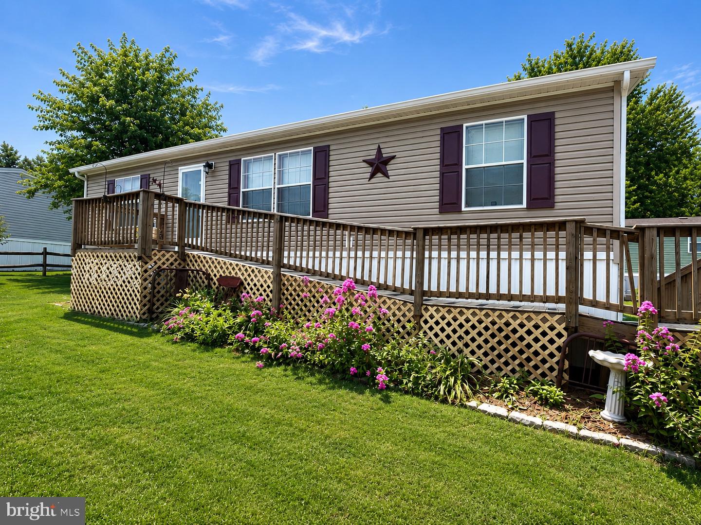391 Fancy Filly Circle