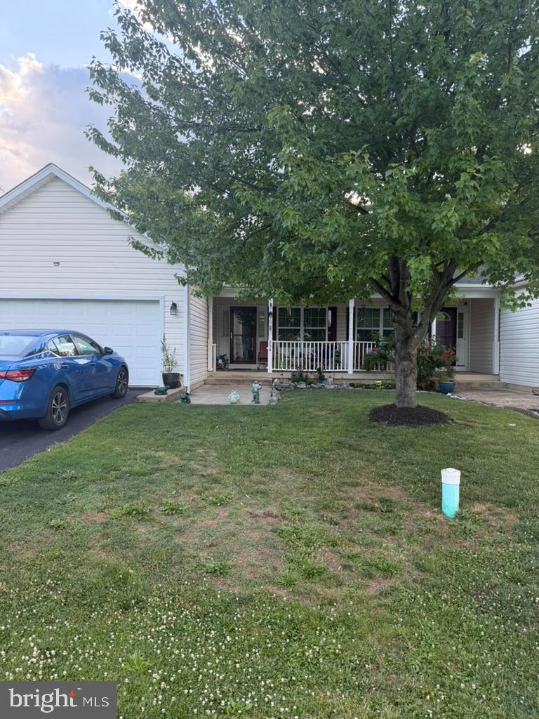 254 Dorothy Court
