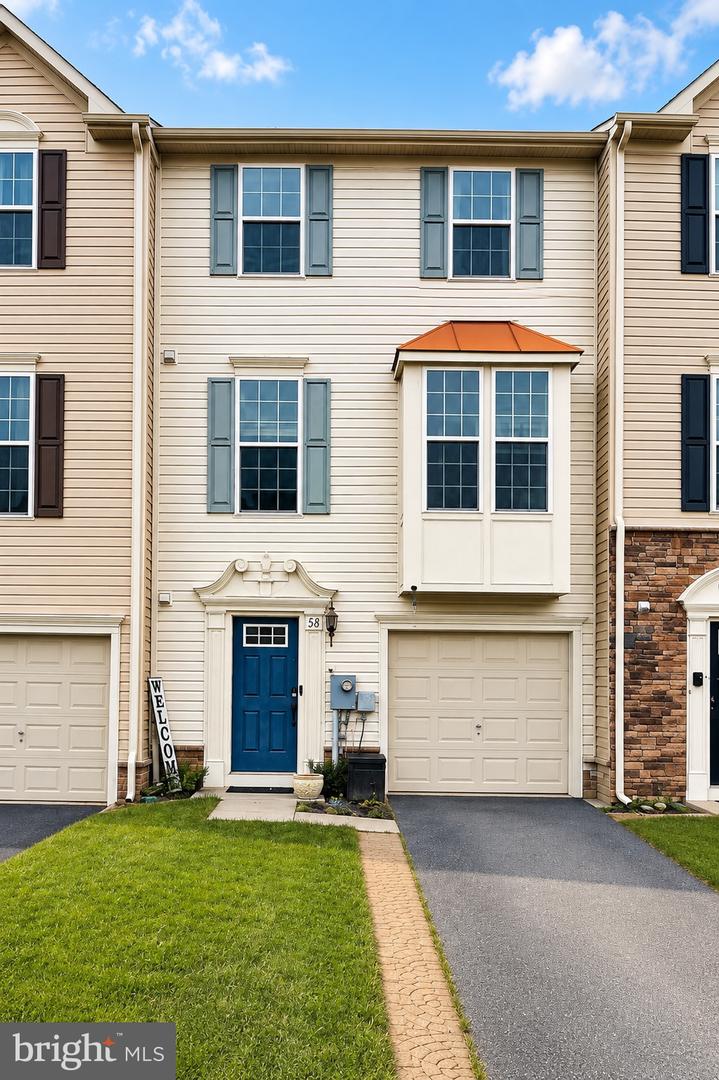 58 Gauley River Path