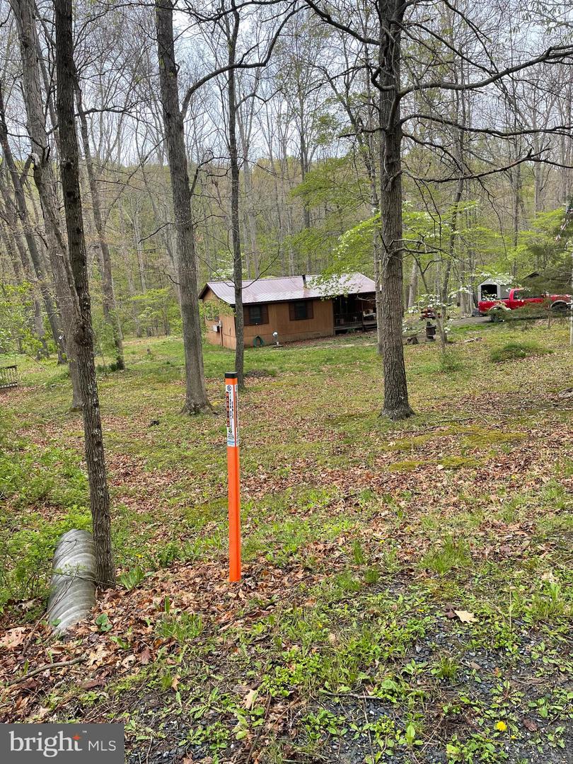 462 Trout Stream Road