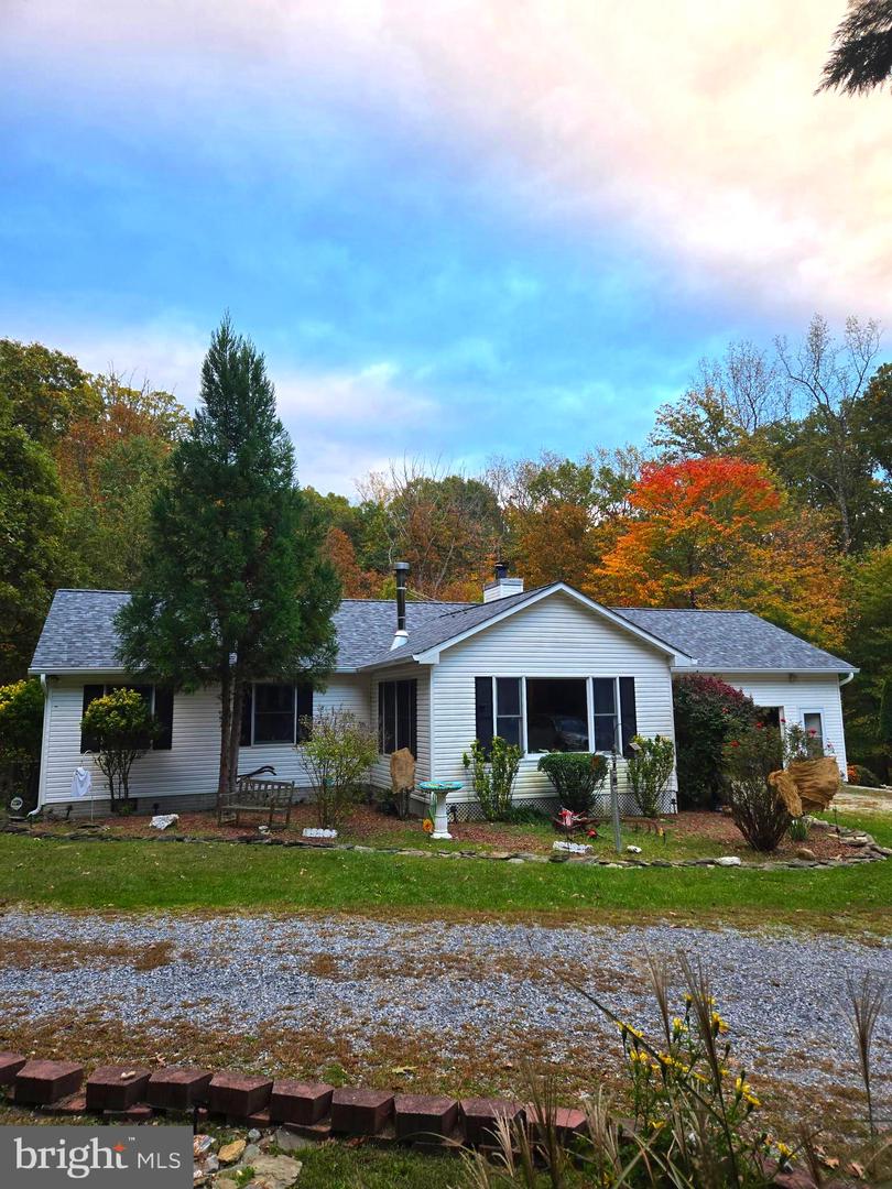 58 Branchy Road