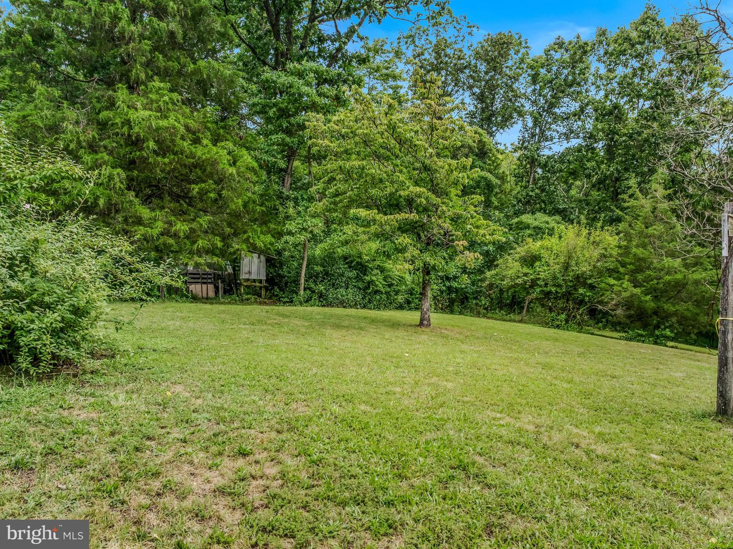 175 Pheasant Lane
